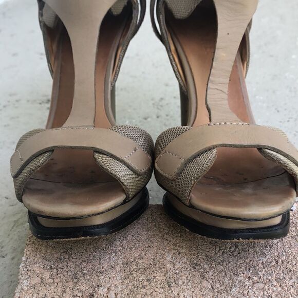 LAMB - Picture 4 of 8